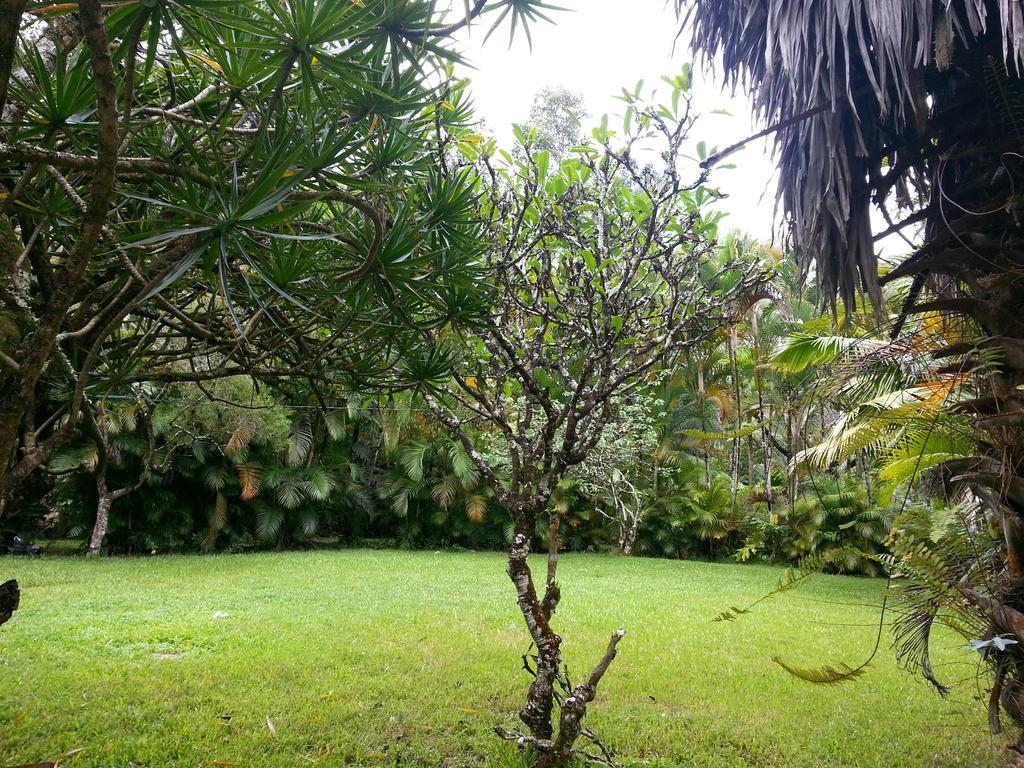 Hale Hale Hostel Pahoa Экстерьер фото