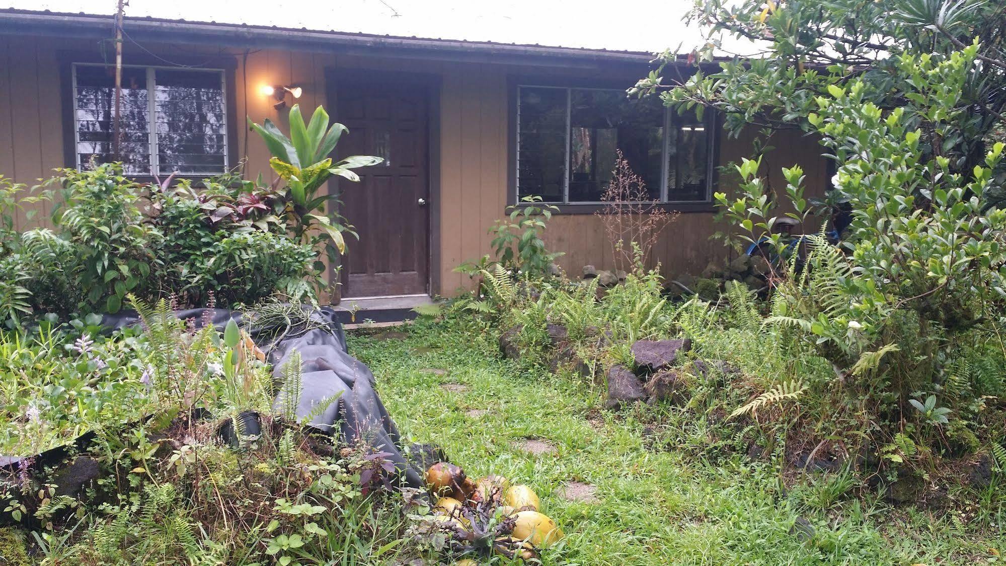 Hale Hale Hostel Pahoa Экстерьер фото