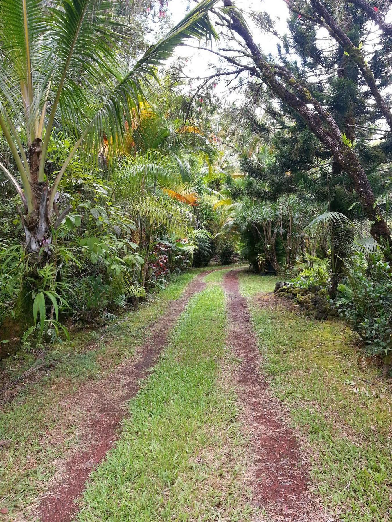 Hale Hale Hostel Pahoa Экстерьер фото