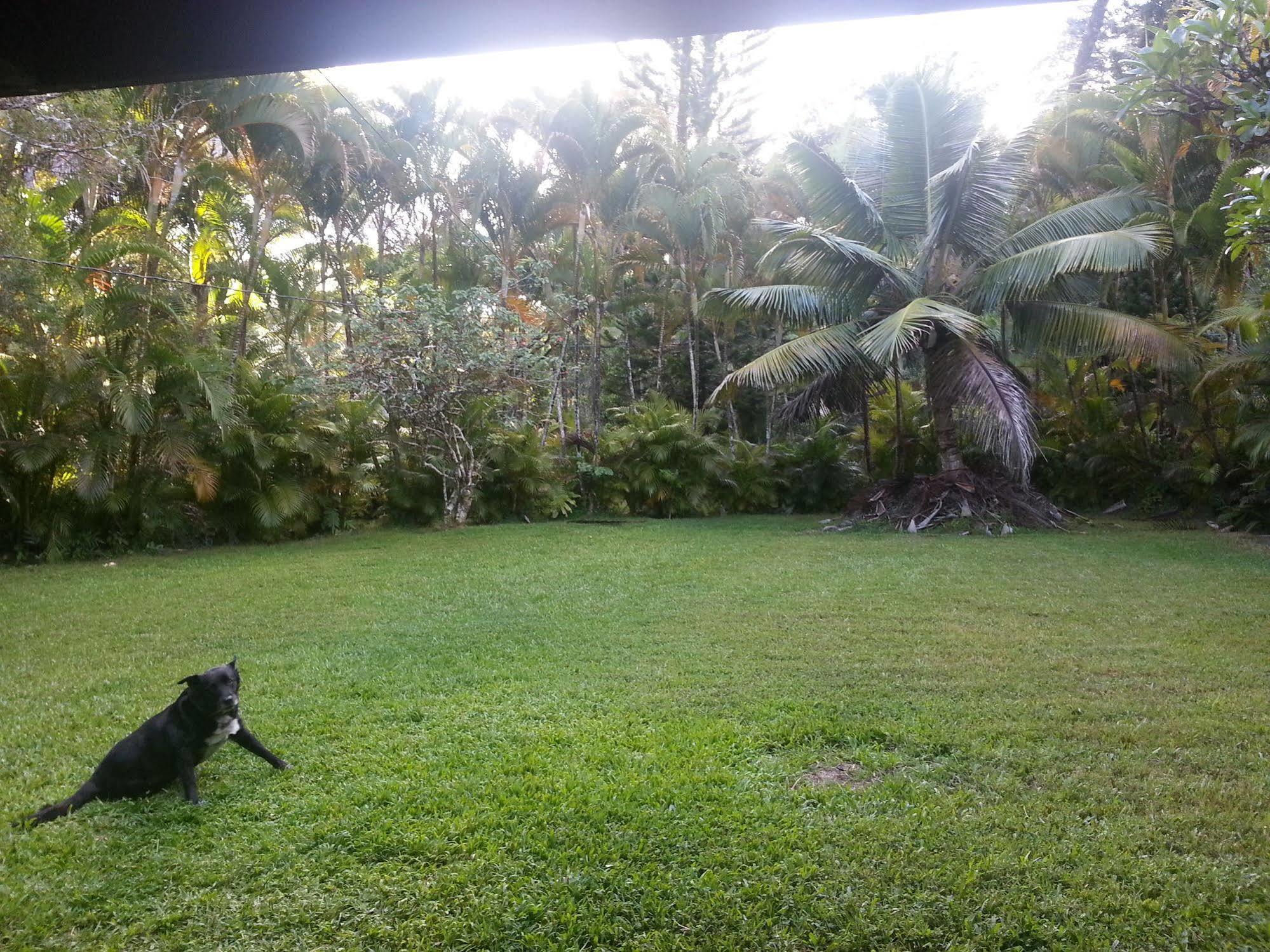 Hale Hale Hostel Pahoa Экстерьер фото
