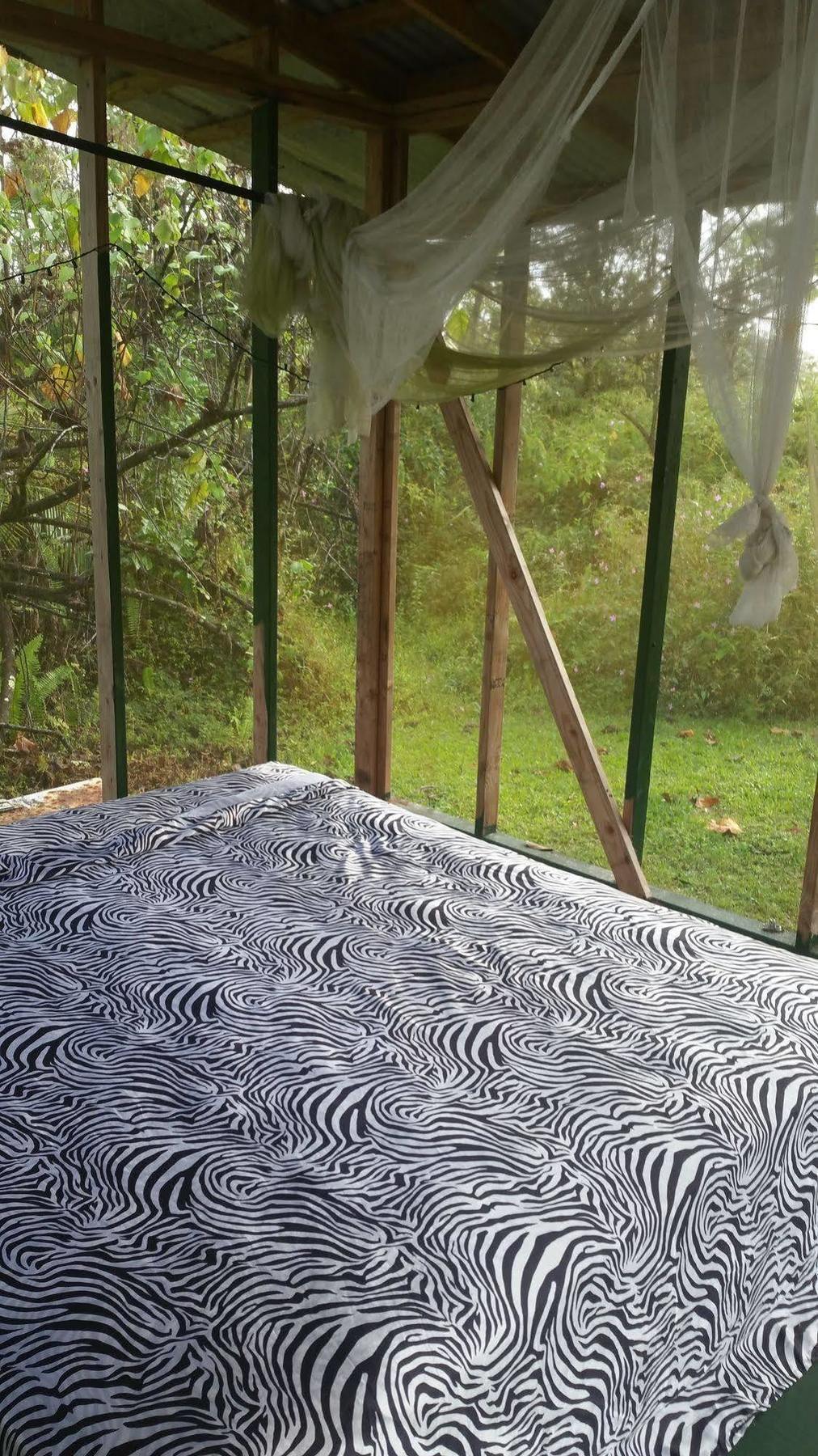 Hale Hale Hostel Pahoa Экстерьер фото